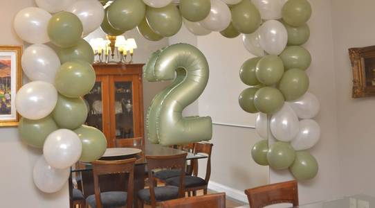 Aniversário Infantil  de Oli 2 anos