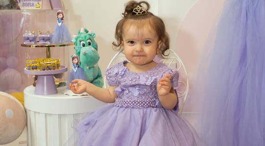 Aniversário Infantil  de Sofia 1 ano