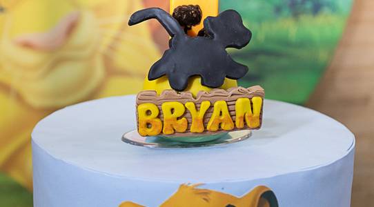 Aniversário Infantil de Aniversário Bryan - 1 ano