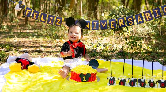 Smash The Cake de Heitor :: Smash The Cake + Clean Up 