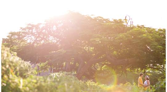 Gestante de Gerlandia + Marcílio = Ícaro