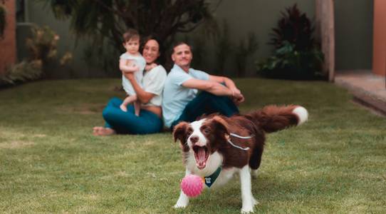 Família de Família do João