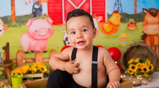 Smash the cake de Smash the cake Fazendinha do Davi