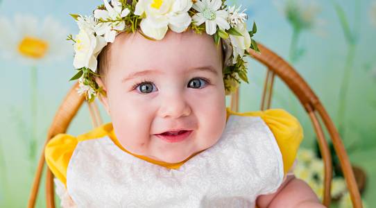 Nossos Bebês - acompanhamento de Margaridas