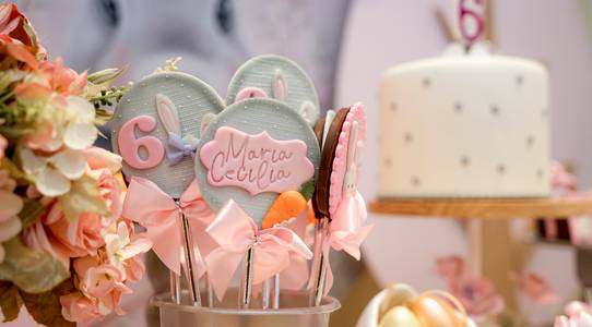 Festa de Menina de Maria Cecília 6 anos