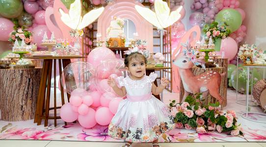 Festa de Menina de Lavínia 1 ano 
