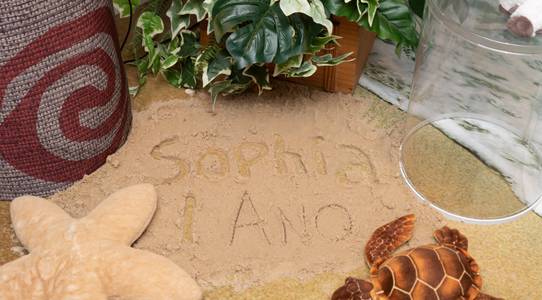 Aniversário Infantil de 1° ANINHO DA SOPHIA