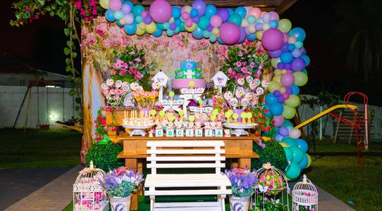 Aniversário Infantil de Cecília - 2 anos
