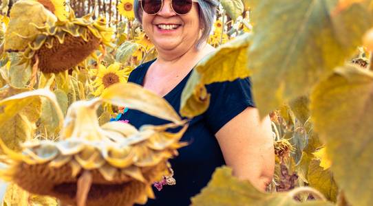 Ensaios de Girassóis - 2