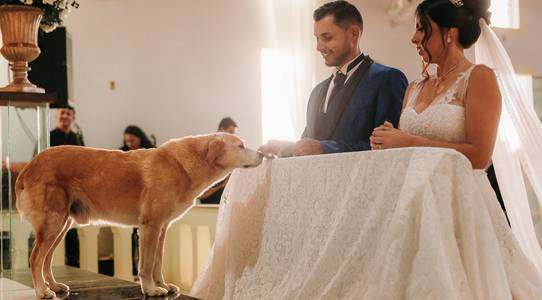 Casamento de Casamento em Cunha 