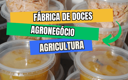 Agronegócio  de Fábrica de Doces
