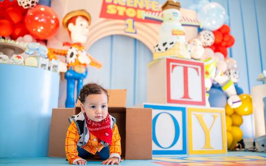 Aniversário infantil de 1 Ano do Vicente