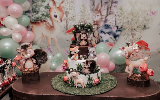 Aniversário de Aniversário pequena Júlia Franco Bindela