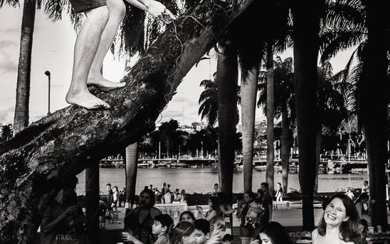 Familia de Chá de Fralda do Emmanuel