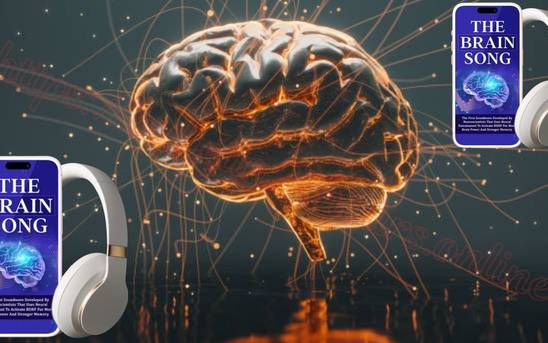 The Brain Song Israel of The Brain Song IL Israel: סוף סוף פתרון שעובד