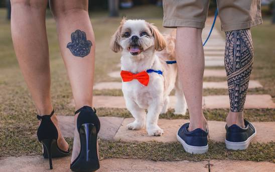 Pré-Wedding  de Pré Wedding Larissa e Guilherme