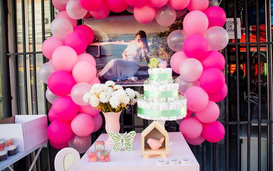 GRÁVIDAS - ESTÚDIO / EXTERNAS de Carreata/Chá de bebê da princesa Ana Sayuri