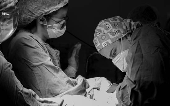 Gestante e Parto de Chegada de Laura 