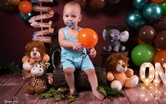 Aniversários Infantis de Smash The Cake | Safári do Gustavo