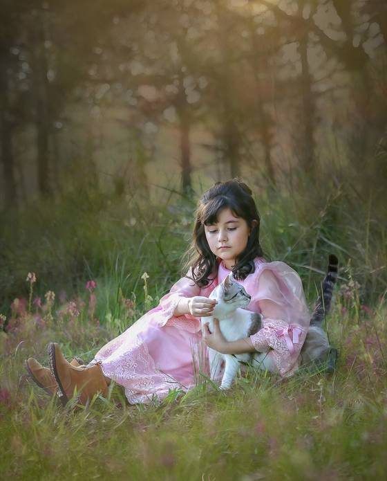 Infantil de Ensaio da  Sara.