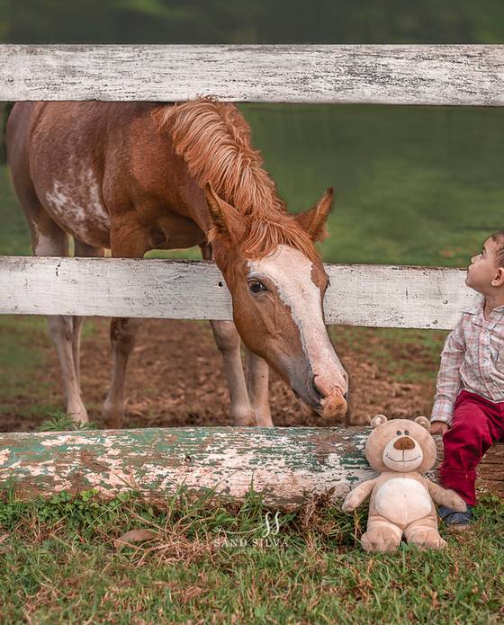 Infantil de Ensaio Vitor- 3 aninhos