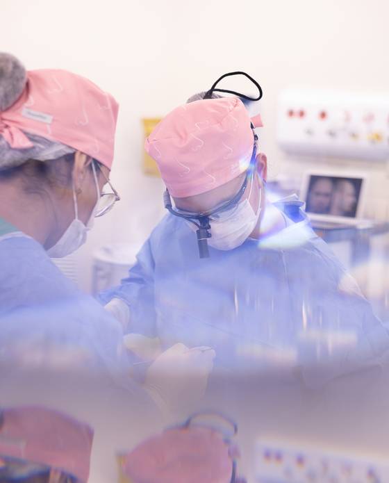 CIRURGIAS de DRA. MAYARA YANASE