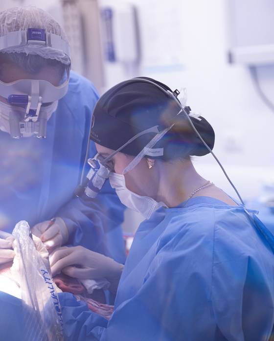 CIRURGIAS de DRA. FLÁVIA DIAS