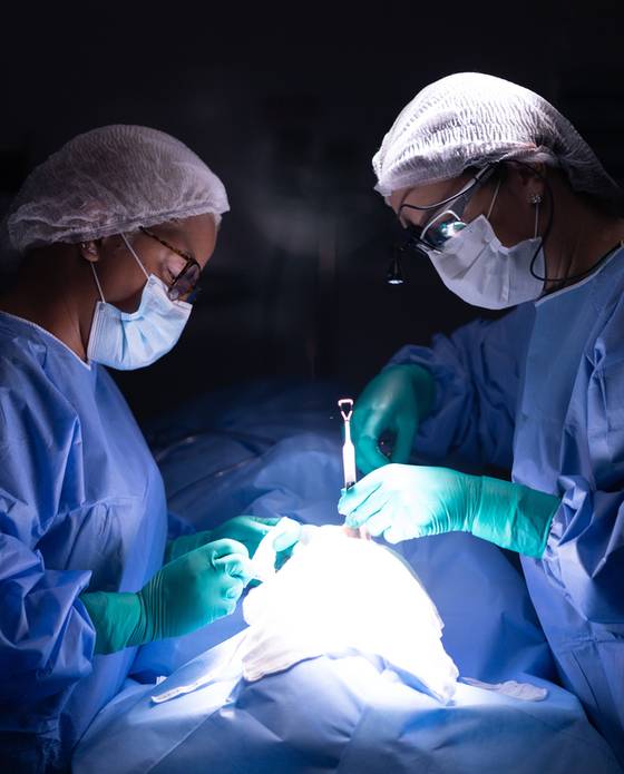 CIRURGIAS de Dra. Patricia Duarte