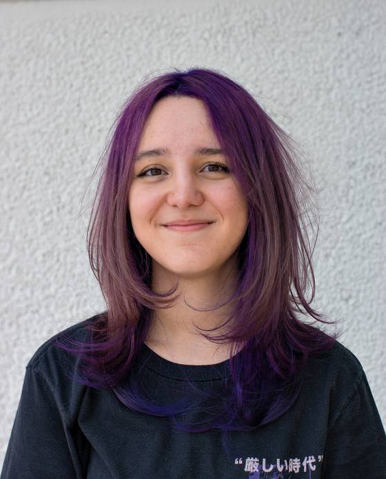 Externos de Starter Pack Model