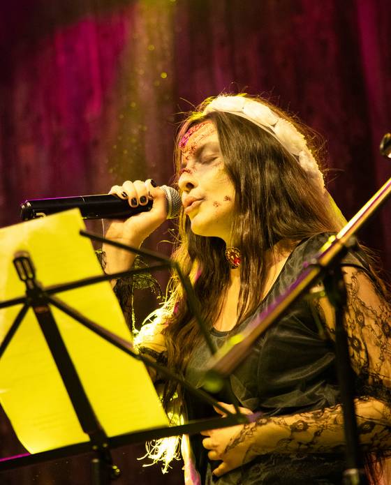 Shows de Audição à Fantasia - Toca Paulista de Artes