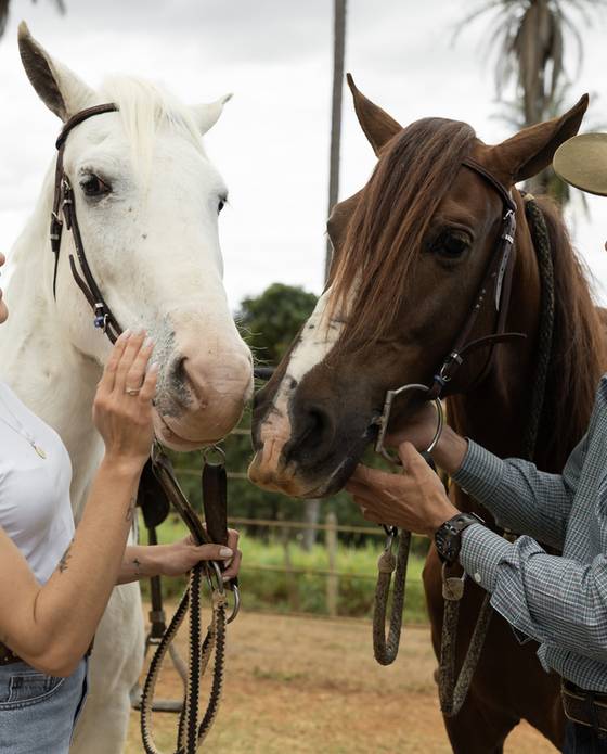 Casamento de Pré-Wedding - Ingryd e Alisson - 