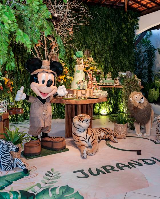 Festa Infantil Menino  de Safari do Jurandi Neto