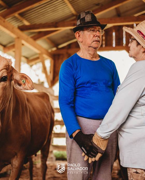 Pré-Wedding de Ensaio Bodas de Ouro em Timbó | Laurita & Arthur