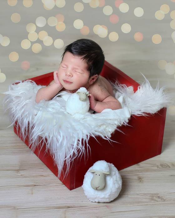 Newborn de Daniel  11 dias