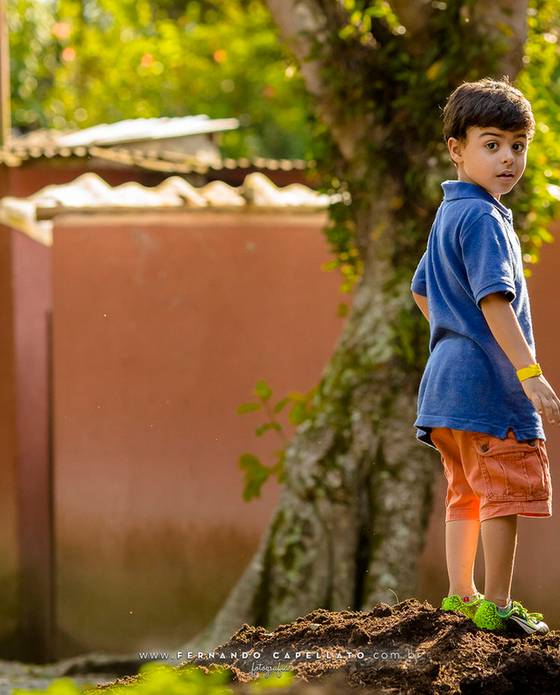 aniversário infantil de Aniversário infantil | Cia dos Bichos | 5 anos do Felipe