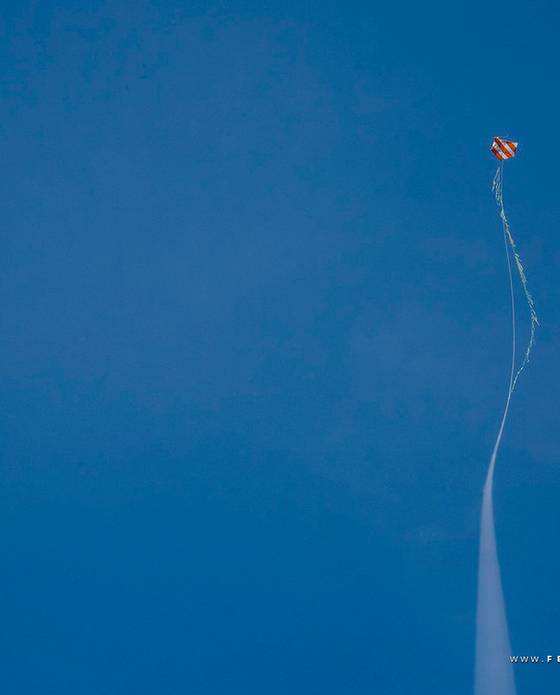 lifestyle de Sobre felicidade...