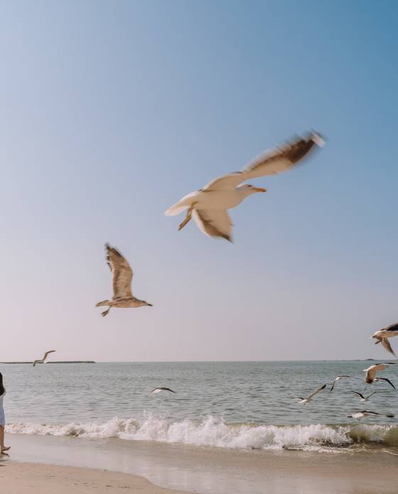 Pré-Wedding de Maria Eduarda e Gabriel