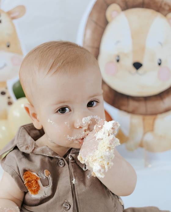 Smash The Cake de Ensaio Smash the cake do Leo