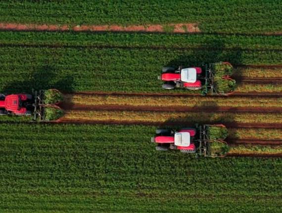 Agronegócio de Colheita do Amendoim | Safra 20-21