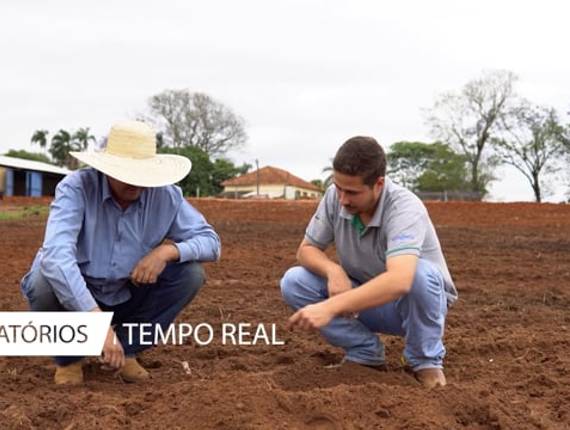 Agronegócio de PLANTIO DO AMENDOIM SAFRA 21/22 