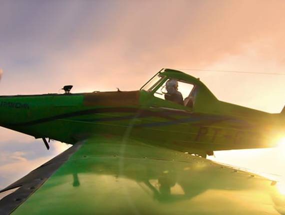 Agronegócio de Pulverização Aérea | Amendoim Safra 21-22
