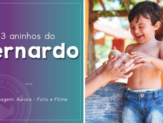 Filmes de Filme Festa Infantil - Bernardo