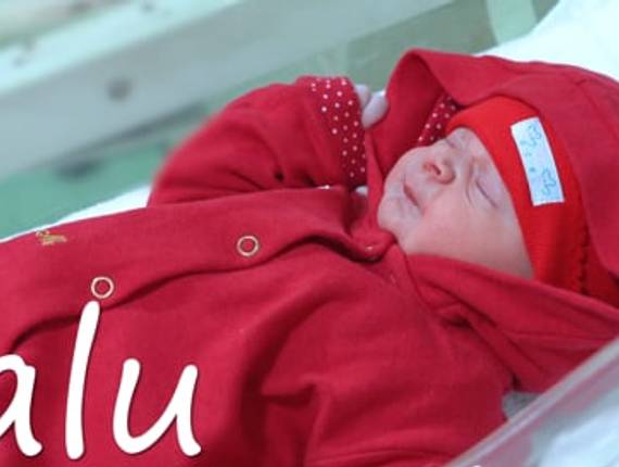 Parto Cesárea de Nascimento Malu