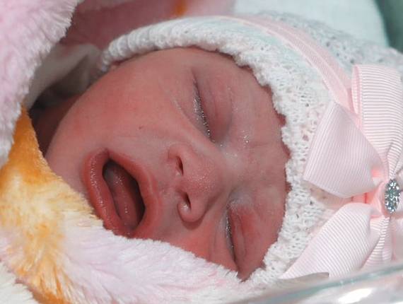 Parto Cesárea de Nascimento Lívia Beatriz