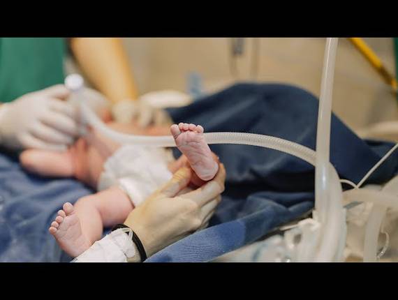 Parto Cesárea de Nascimento Laura