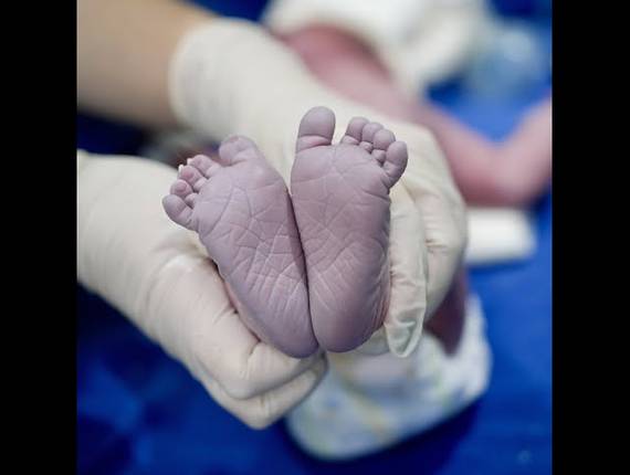 Parto Cesárea de Nascimento Maria Cecília