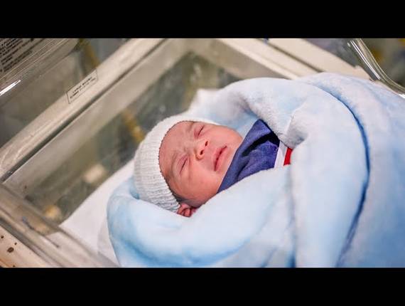 Parto Cesárea de Nascimento Bernardo