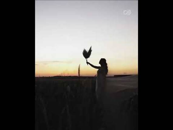 Noivas de Coleção Pampas