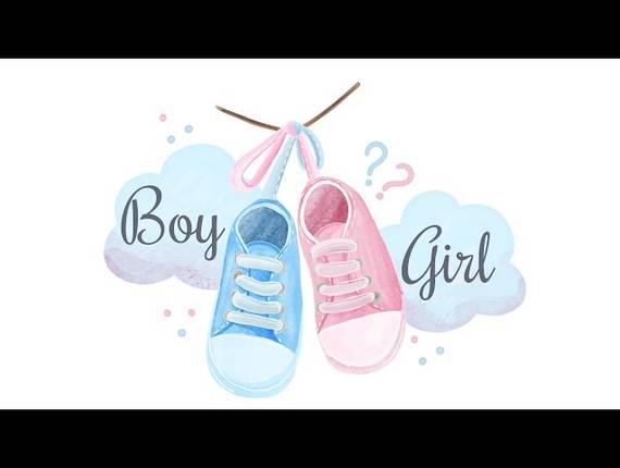 FILMAGEM de Chá de revelação em música