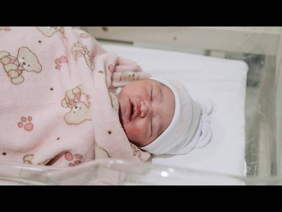 Parto Cesárea de Nascimento Anna Laura
